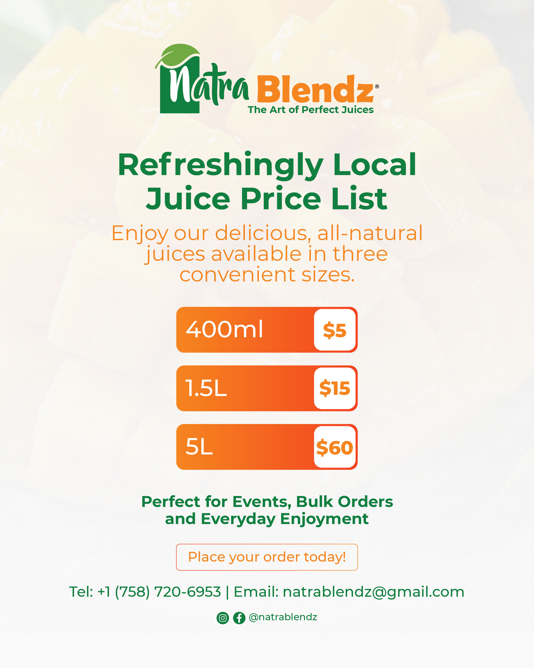 Flyer 1